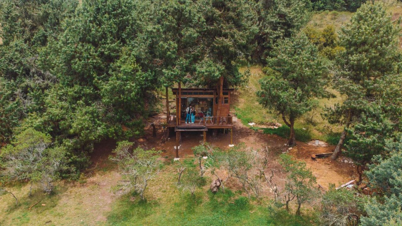 Alma De Campo Glamping - Laguna De Suesca Exterior photo